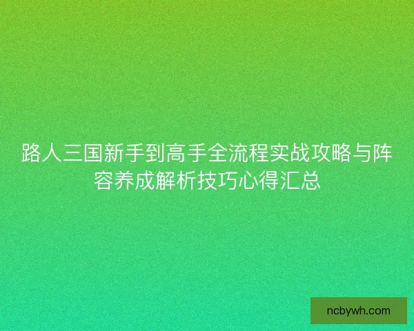 路人三国新手到高手全流程实战攻略与阵容养成解析技巧心得汇总